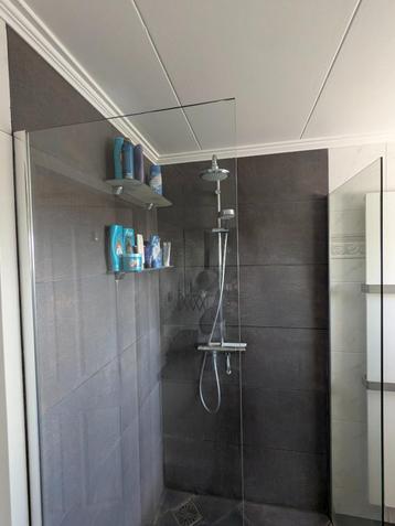 T.k. 2 inloopdouchewanden 60 x 200 cm van veiligheidsglas beschikbaar voor biedingen