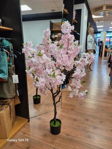 Bloesemboom beschikbaar voor biedingen