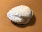 Lieflijk sieradendoosje, porselein in de vorm van een schelp, Huis en Inrichting, Woonaccessoires | Schalen en Manden, Ophalen of Verzenden