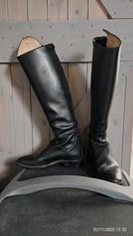 Petrie Sydney (zonder veters) 7,5-50-37, Dieren en Toebehoren, Paardrijkleding, Ophalen of Verzenden, Zo goed als nieuw, Dressuur