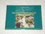 Een eeuw veranderingen in Hoornaar, Boeken, Geschiedenis | Stad en Regio, Verzenden, Zo goed als nieuw