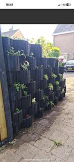 STAPELBARE BLOEMBAKKEN / PLANTENBAKKEN ( beton ), Tuin en Terras, Bloembakken en Plantenbakken, Gebruikt, Minder dan 60 cm, Ophalen of Verzenden