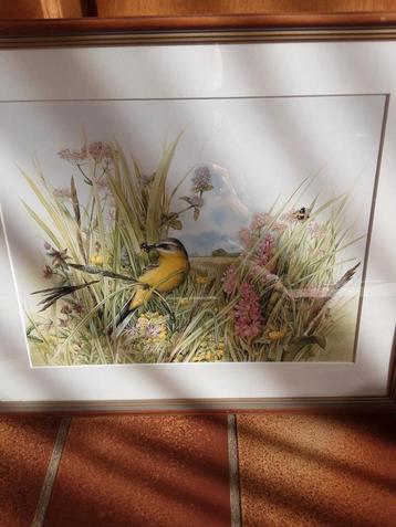 Schilderijen met vogels van Marjolijn Bastin 20 euro per stu beschikbaar voor biedingen