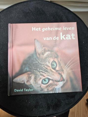 Het geheime leven van de kat - David Taylor beschikbaar voor biedingen