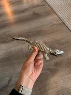 Zilveren hagedis, Ophalen of Verzenden, Zo goed als nieuw