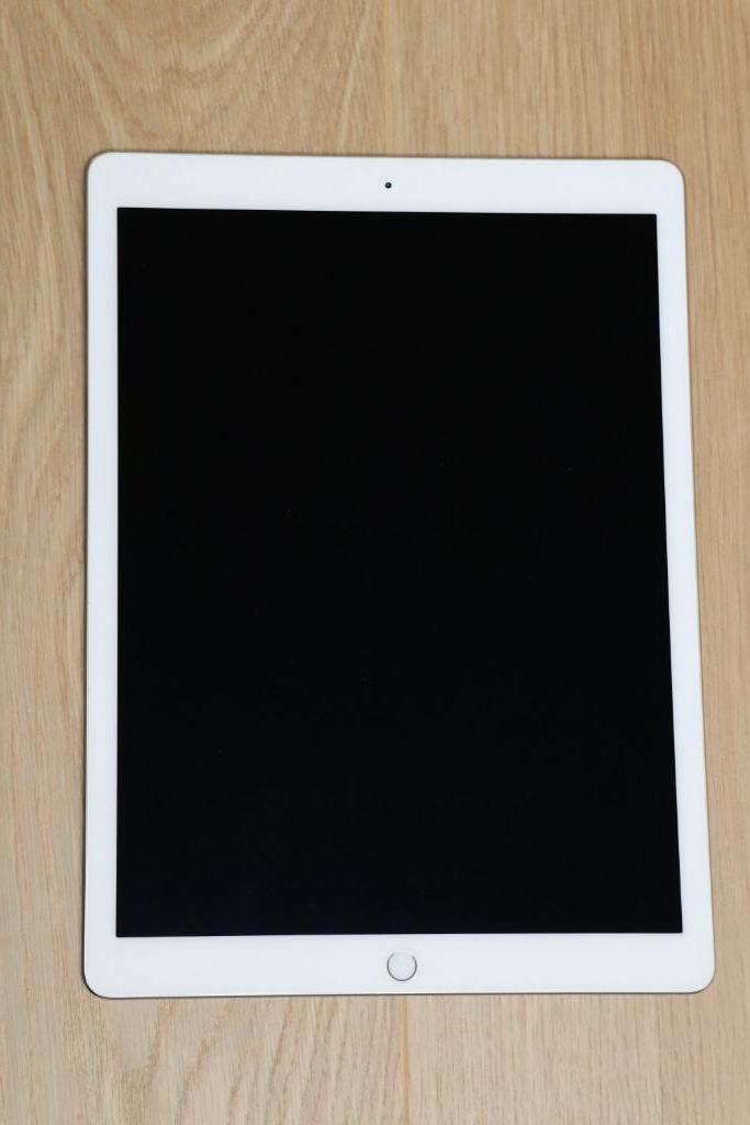 iPad Pro 12.9 2015 1e generatie 128 GB - WiFi - Spacegrijs, Computers en Software, Apple iPads, Zo goed als nieuw, Apple iPad