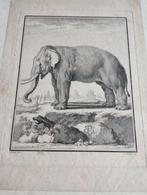 Oude prent van een olifant, Verzenden