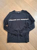 Heren maat m. Hugo boss. Dunne trui, Kleding | Heren, Ophalen of Verzenden, Zo goed als nieuw, Maat 48/50 (M)