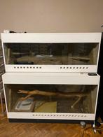 Grote terrarium, Ophalen