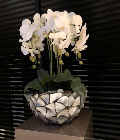 Eric Kuster Style Schelpenvaas Exclusive, Huis en Inrichting, Woonaccessoires | Kunstplanten en Kunstbloemen, Zo goed als nieuw