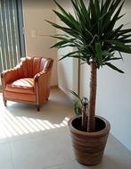 Gealux schapenlederen club fauteuil, Vintage, 75 tot 100 cm, Ophalen of Verzenden, Zo goed als nieuw