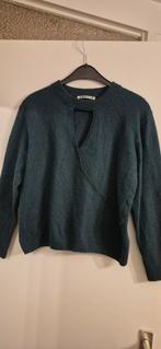 Trui dames groen merk vanilia maat 38, Kleding | Dames, Ophalen of Verzenden, Zo goed als nieuw