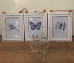 3 leuke schilderijtjes Vogel vlinder veertjes, Nieuw, Schilderij, Ophalen of Verzenden