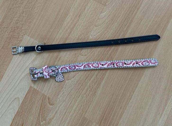 Honden/katten halsbanden set, Dieren en Toebehoren, Hondenhalsbanden en Penningen, Zo goed als nieuw, Ophalen of Verzenden
