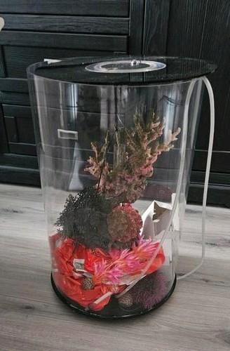 Biotorp aquarium rond 30 liter beschikbaar voor biedingen