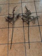 Corokia takken ( nep), Huis en Inrichting, Woonaccessoires | Droogbloemen, Ophalen of Verzenden, Zo goed als nieuw