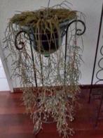 Groene glazen peer pot op standaard vintage jaren 50, Tuin en Terras, Bloempotten, 25 tot 40 cm, Overige materialen, Rond, Binnen