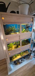 Aquarium kweekstelling, Dieren en Toebehoren, Vissen | Aquaria en Toebehoren, Ophalen, Gebruikt, Leeg aquarium