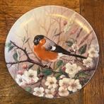 Tirschenreuth Bordje - Dompfaff tussen kirschenblüten, Ophalen of Verzenden