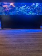 Zee aquarium compleet! XXL, Dieren en Toebehoren, Vissen | Aquaria en Toebehoren, Ophalen, Zo goed als nieuw, Leeg aquarium