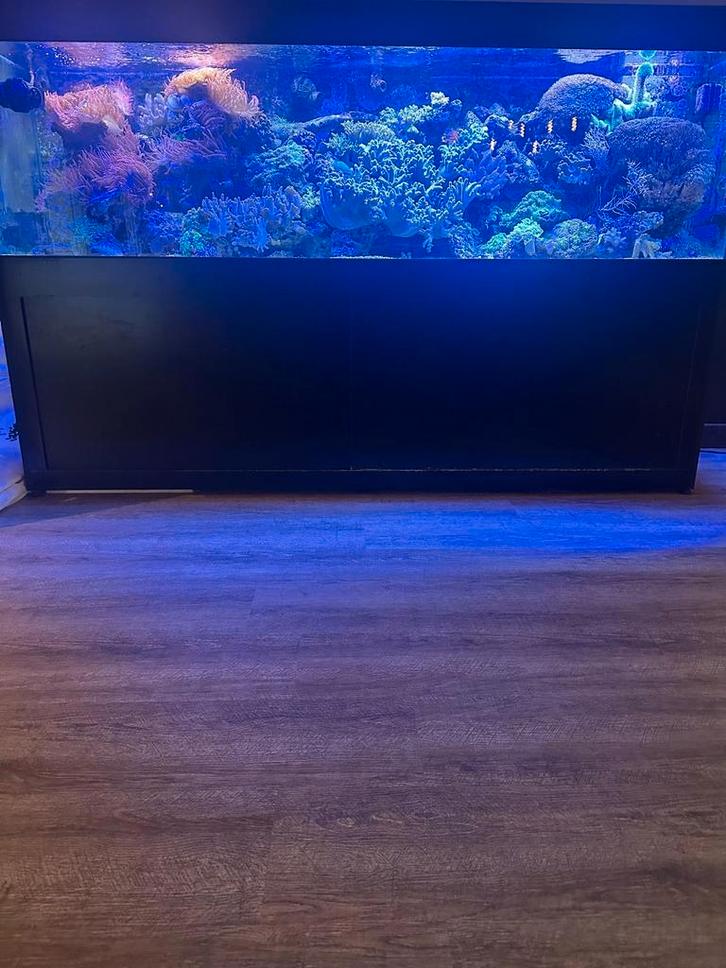 Zee aquarium compleet! XXL, Dieren en Toebehoren, Vissen | Aquaria en Toebehoren, Zo goed als nieuw, Leeg aquarium, Ophalen