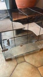 Hamsterkooi, Dieren en Toebehoren, Gebruikt, Minder dan 75 cm, Ophalen, Minder dan 60 cm