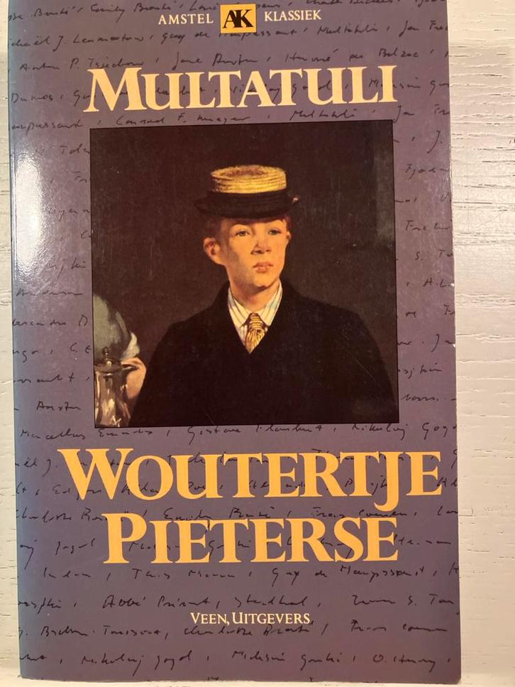 Woutertje Pieterse - Multatuli (Amstel AK Klassiek), Boeken, Literatuur, Zo goed als nieuw, Nederland, Ophalen of Verzenden