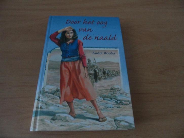 Door het oog van de naald- André Boeder, Boeken, Kinderboeken | Jeugd | 10 tot 12 jaar, Gelezen, Ophalen of Verzenden