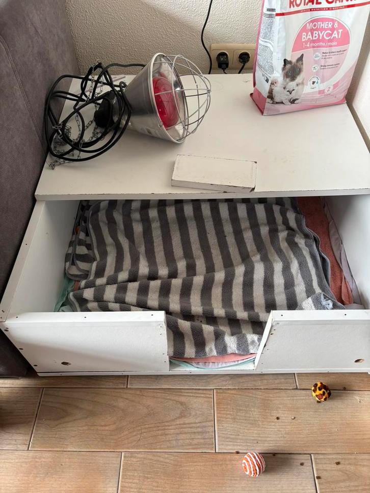 Werpkist plus een warmtelamp, Dieren en Toebehoren, Katten-accessoires, Gebruikt, Ophalen