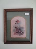 Vintage Vogelprint. Klein model., Minder dan 50 cm, Ophalen of Verzenden, Zo goed als nieuw, Schilderij