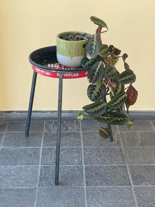 Bijzettafel met dienblad uit Cuba  #vintage, Huis en Inrichting, Tafels | Bijzettafels, Gebruikt, Rond, Minder dan 55 cm, Ophalen
