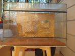 Gratis terrarium afhalen (60x40x40), Dieren en Toebehoren, Reptielen en Amfibieën | Toebehoren, Ophalen of Verzenden, Gebruikt