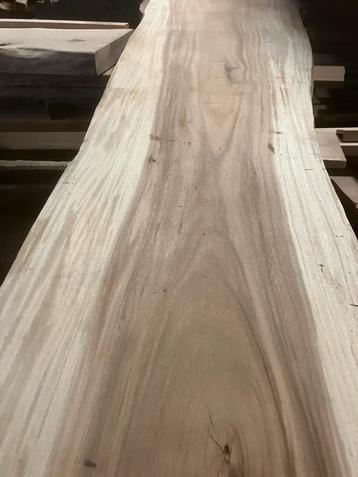 Suar bladen 250 lang x 70/ 80 cm breed nog op voorraad bied beschikbaar voor biedingen