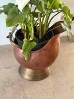 Koperen kolen kit 2x, Ophalen