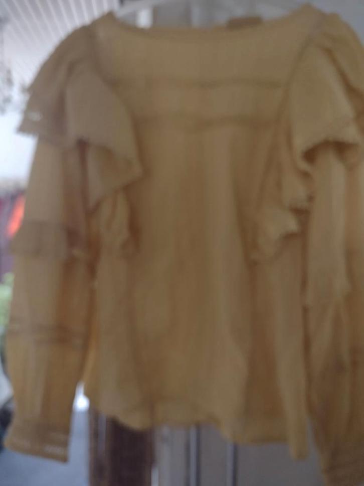 Fabienne Chapot Blouse Maat 42, Kleding | Dames, Blouses en Tunieken, Zo goed als nieuw, Maat 42/44 (L), Geel, Verzenden