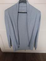 Mooi vest vd zara en meer maat s v maar 7,50 pst, Kleding | Dames, Blauw, Zara, Ophalen of Verzenden, Zo goed als nieuw