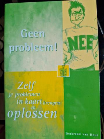 Gerbrand van Hout - Geen probleem! beschikbaar voor biedingen