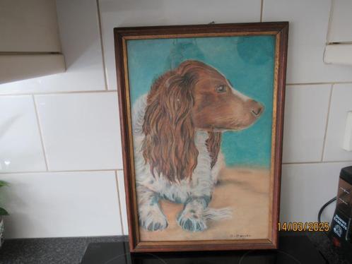 SCHILDERIJ/KRIJTTEKENING SPANIEL IN LIJST- A VAN BRAKEL-1955, Antiek en Kunst, Kunst | Schilderijen | Modern, Ophalen of Verzenden