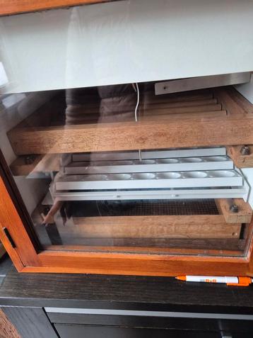 🐥 Betrouwbare broedmachine – uitstekende uitkomst!  beschikbaar voor biedingen