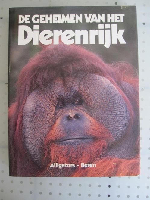 De geheimen vh dierenrijk Alligators-Beren, Boeken, Dieren en Huisdieren, Zo goed als nieuw, Overige diersoorten, Ophalen of Verzenden