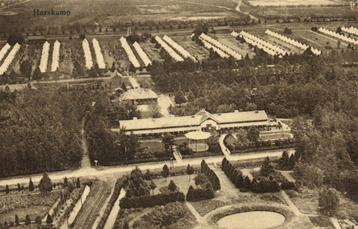 Harskamp - gezicht op o.a. kamp - 1929 gelopen beschikbaar voor biedingen