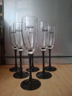 6 Freixenet champagne cava flutes glazen, Ophalen of Verzenden, Zo goed als nieuw, Overige typen
