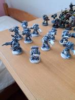 Warhammer 40k Space Wolves Lot, Hobby en Vrije tijd, Wargaming, Gebruikt, Figuurtje(s), Ophalen of Verzenden, Warhammer 40000