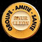 Renault Cleon Groupe-Amitie-Sante pin, Verzenden, Nieuw, Transport, Speldje of Pin