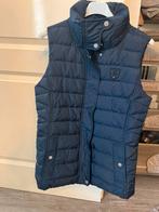 Bodywarmer Tommy Hilfiger maat S, Verzenden, Zo goed als nieuw
