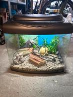 Compleet aquarium SuperFish Aqua 60, Dieren en Toebehoren, Ophalen, Zo goed als nieuw, Leeg aquarium