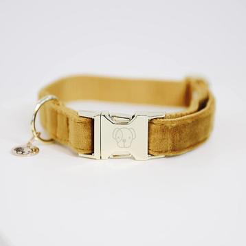 KENTUCKY Velvet Halsband Mosterd XL Nek 45-75 cm KOOPJE!!! beschikbaar voor biedingen