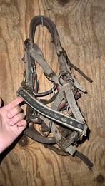 3 shet halters, Dieren en Toebehoren, Ophalen, Gebruikt, Overige soorten