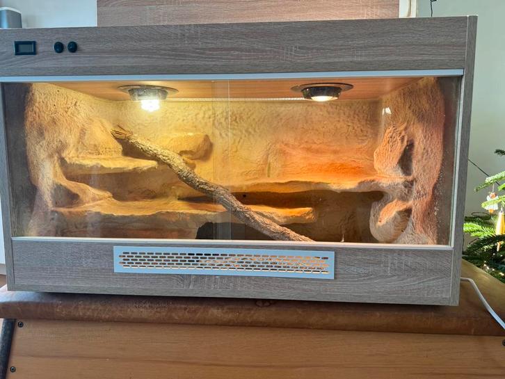 Reptielen terrarium UNIEK (beschikbaar), Dieren en Toebehoren, Reptielen en Amfibieën | Toebehoren, Zo goed als nieuw, Ophalen