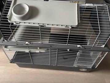 Konijnenhok beschikbaar voor biedingen